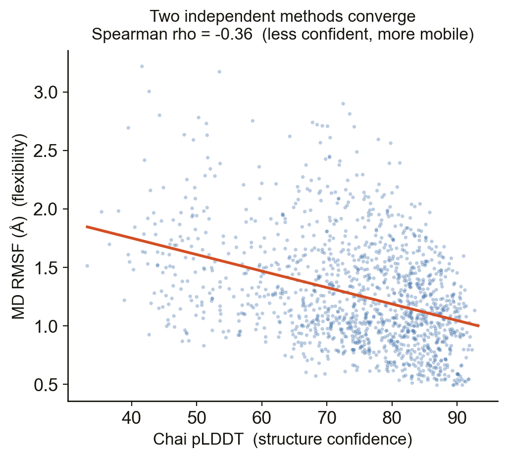 Scatter plot of MD RMSF against Chai-1 pLDDT for every residue of the Cas9 protein, with a negative linear trend line and Spearman rho of minus 0.36.